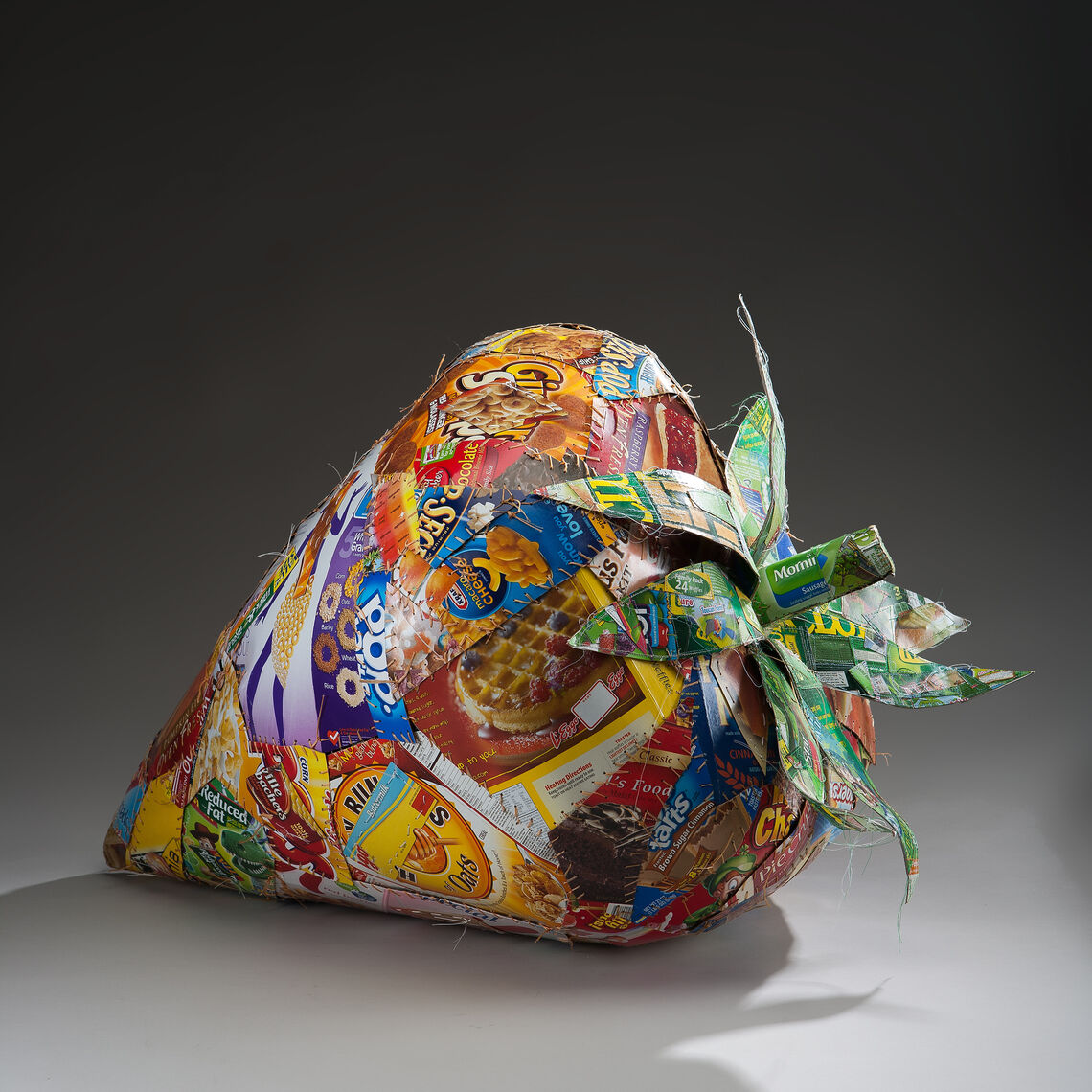 ... Food packaging, artificial sinew, and mixed media.