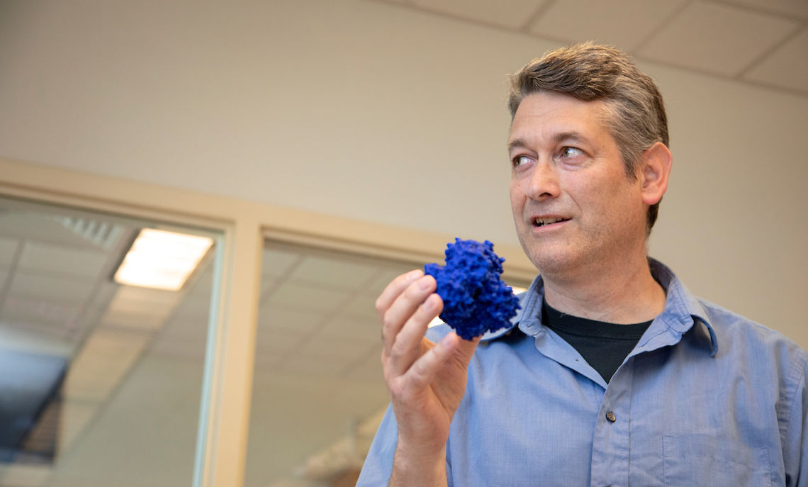 05 16... Brandt holds one result of his collaboration with Fields: a 3D model of the first atomic structure of a protein from the coral genus Acropora.